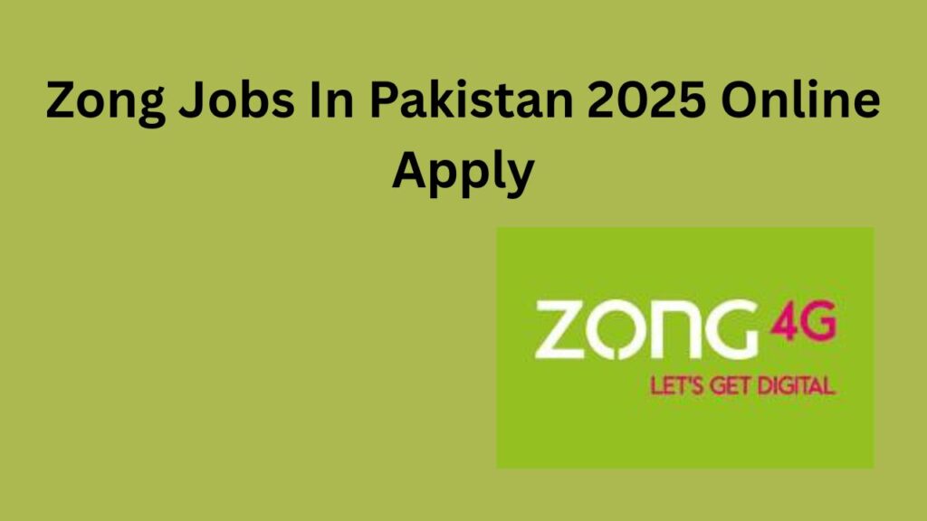Zong Jobs